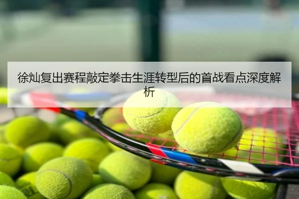 徐灿复出赛程敲定拳击生涯转型后的首战看点深度解析